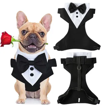 Dog Tuxedo Costume 1