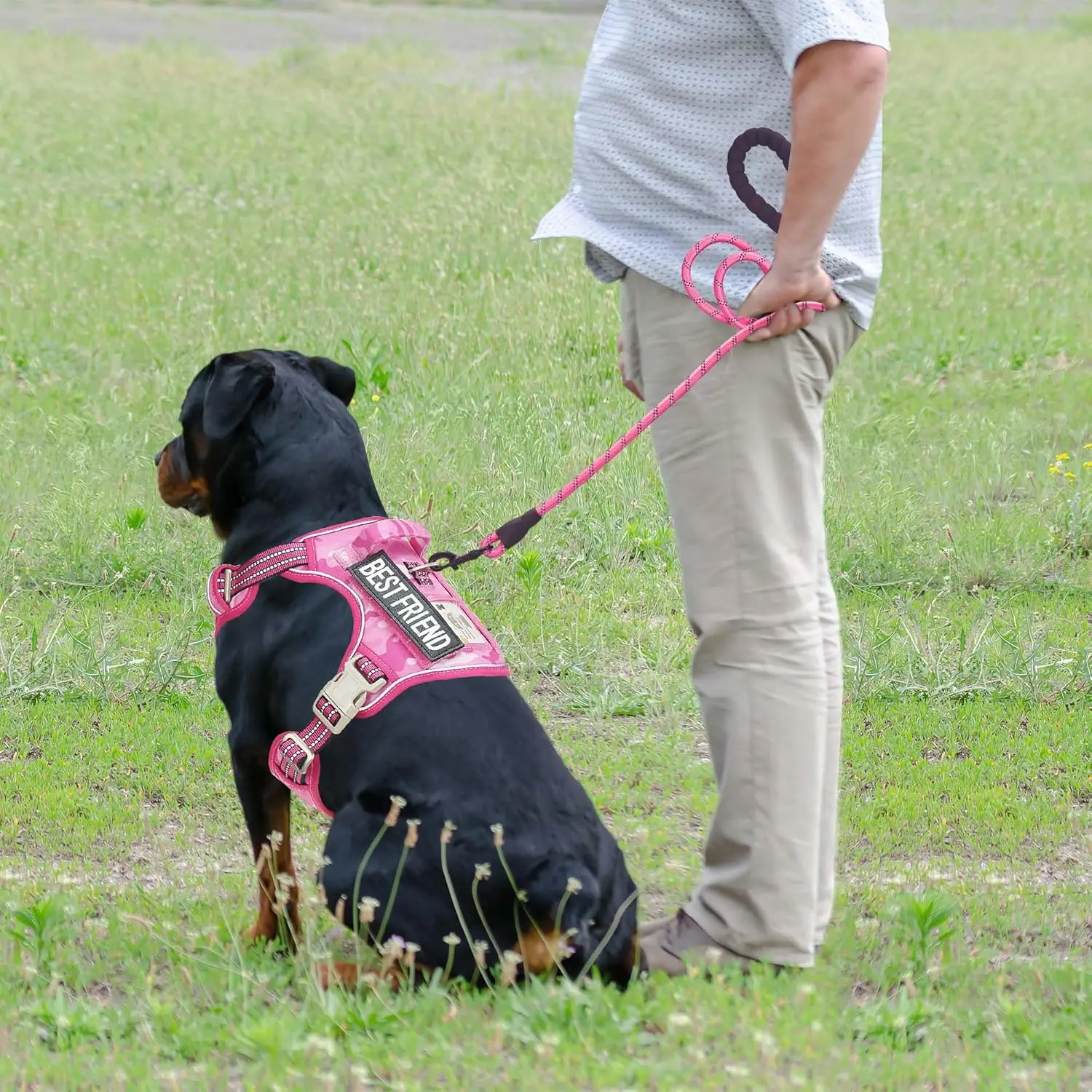 Tactical No-Pull Dog Harness 2