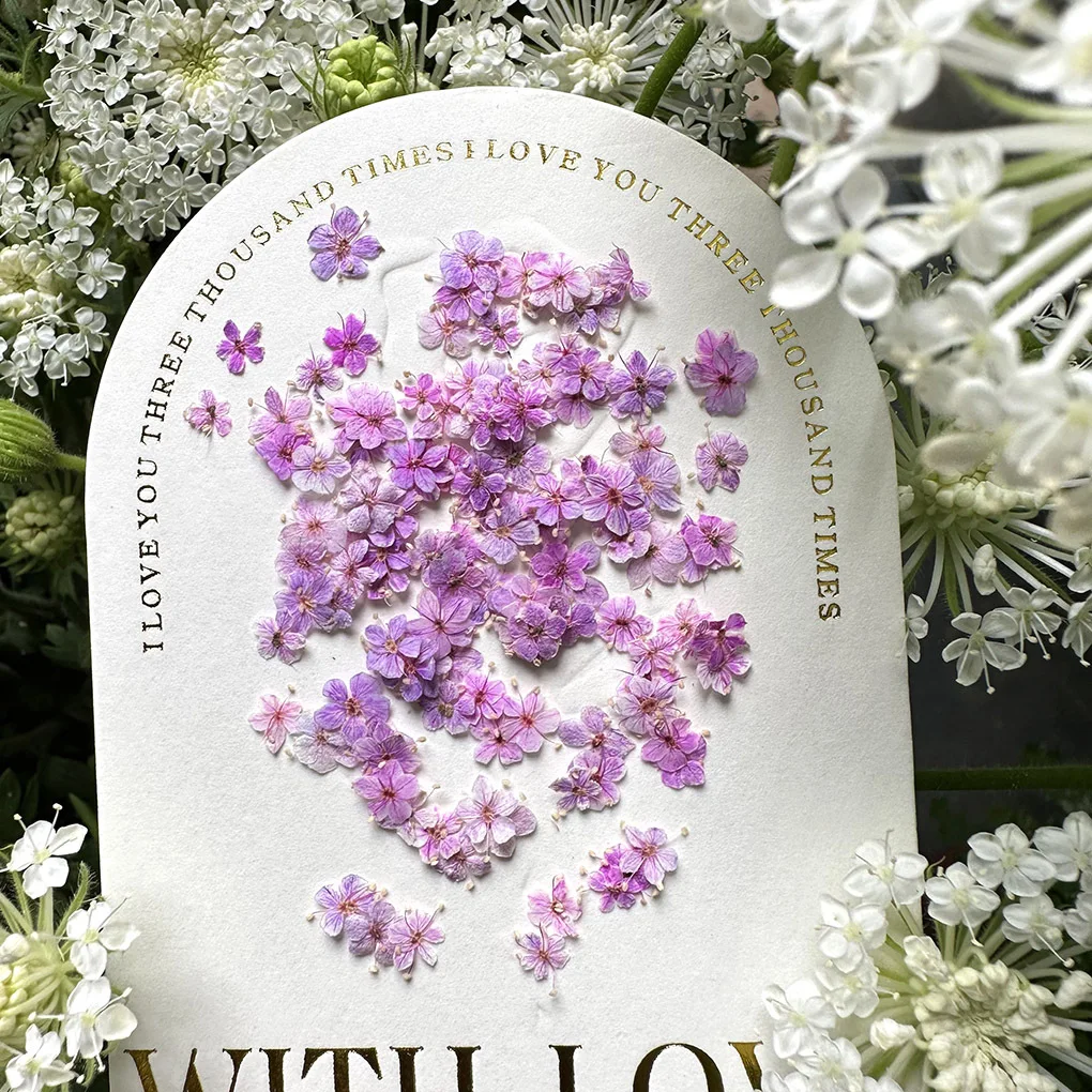 Artistic mini nail art, dried flowers, natural plants, pressed flowers, dried flowers, wearing nail art, real flowers