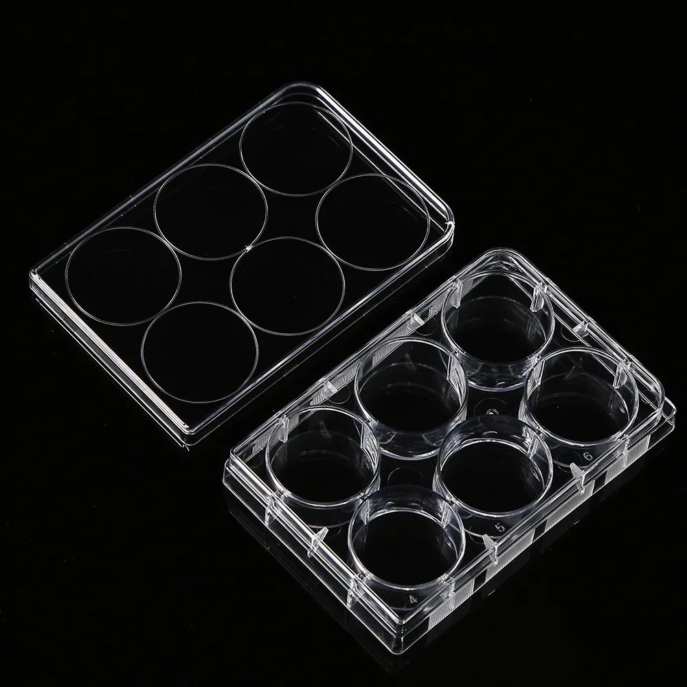 5Pcs Polystyrene 6 Well Petri Dishes Culture Dish 6-Holes for Laboratory Medical Biological Scientific Lab Supplies