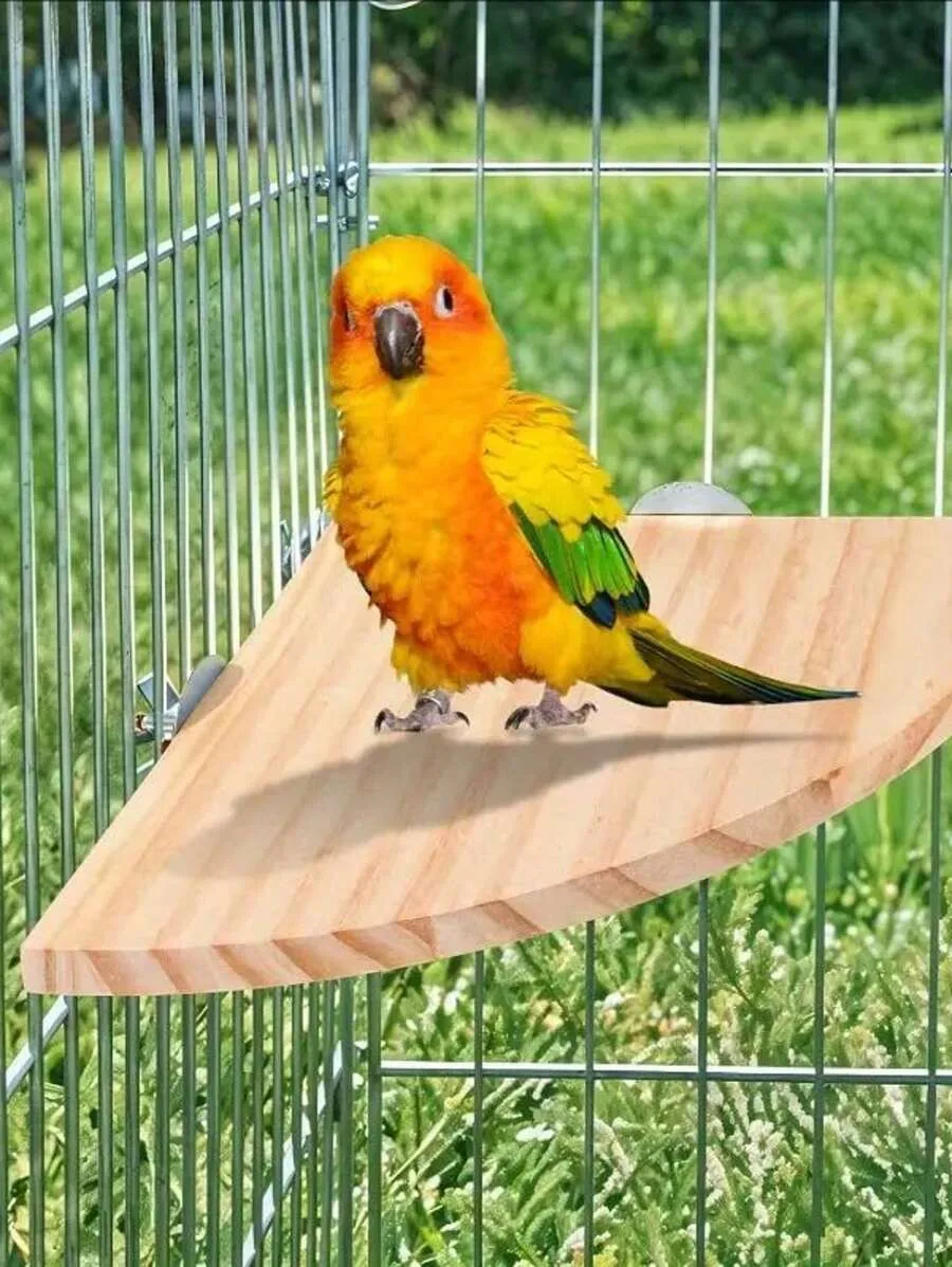 1PC Wooden Fan-shaped Bird Toy Hamster Jumping Board Resting Table for Parrots and Hamster Cage Accessories parrot toy bird toy bird cage accessories