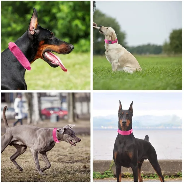 Reflective Tactical collar Adjustable military training nylon dog collar Dog collar with handle Quick release of dog collar 6