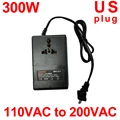 300WUS110Vto220V