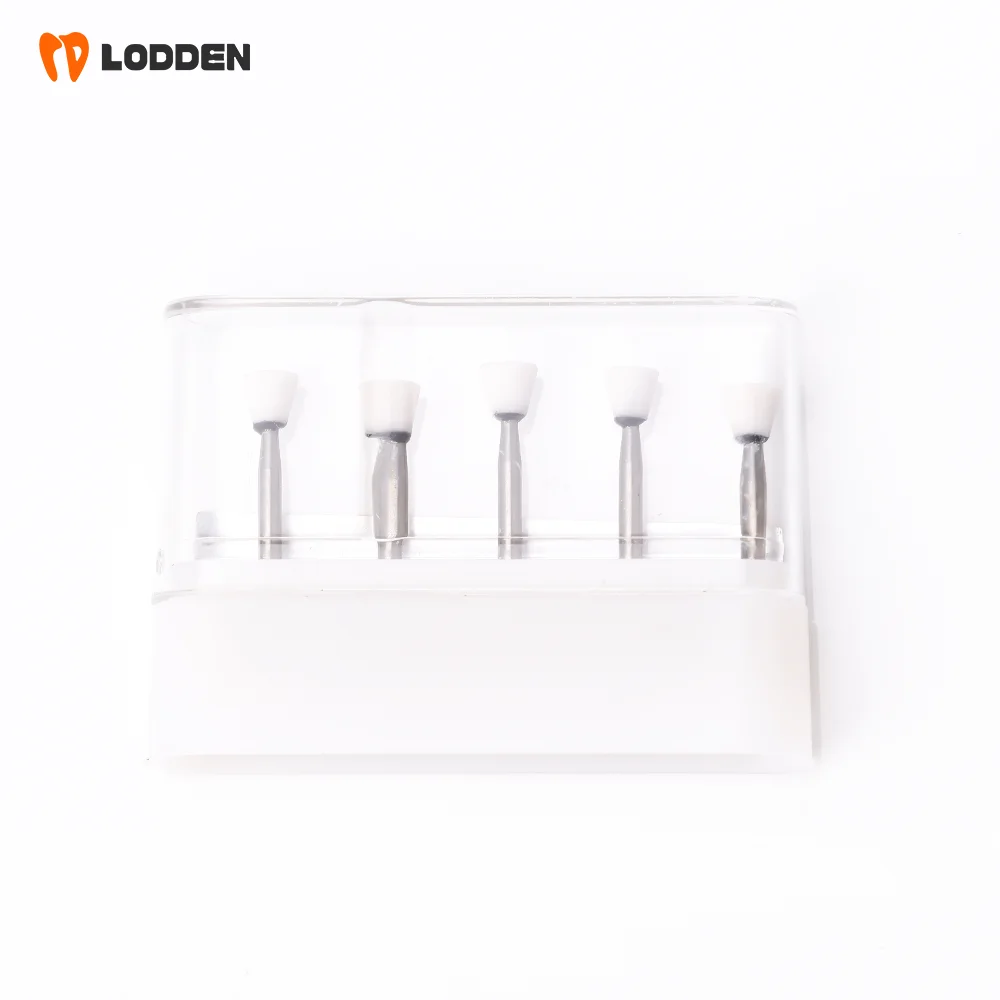 LODDEN 5 Stück Dental-Polierbohrer aus weißem Stein, Kegel-/Flammen-/runde Form, Abriebbohrer, FG zum Polieren, Füllen von Verbundwerkzeugen – Detail 31