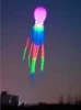 20m led octopus kites flying trilobites kite for adults kite string line windsurfing led fish kites with battery Breezemoon fun 3