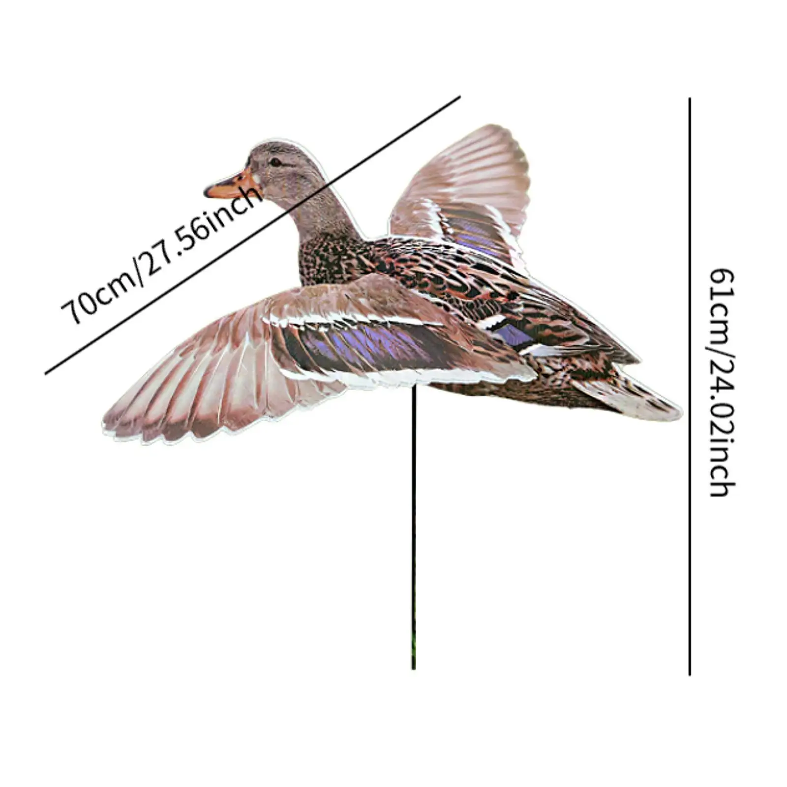 Slide image 969a06f17c7e4dadb0e778d605550533