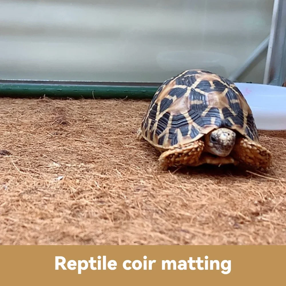 Reptile Pet Box Mat Supplies Shougong Coconut Coir Mat Material Silk Pet Live Aquascape Reptile Turtle Breeding Box Coconut
