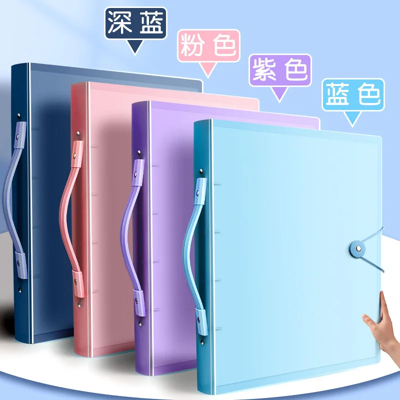 Deluxe Transparent Art Portfolio & Organizer for Artwork and Documents