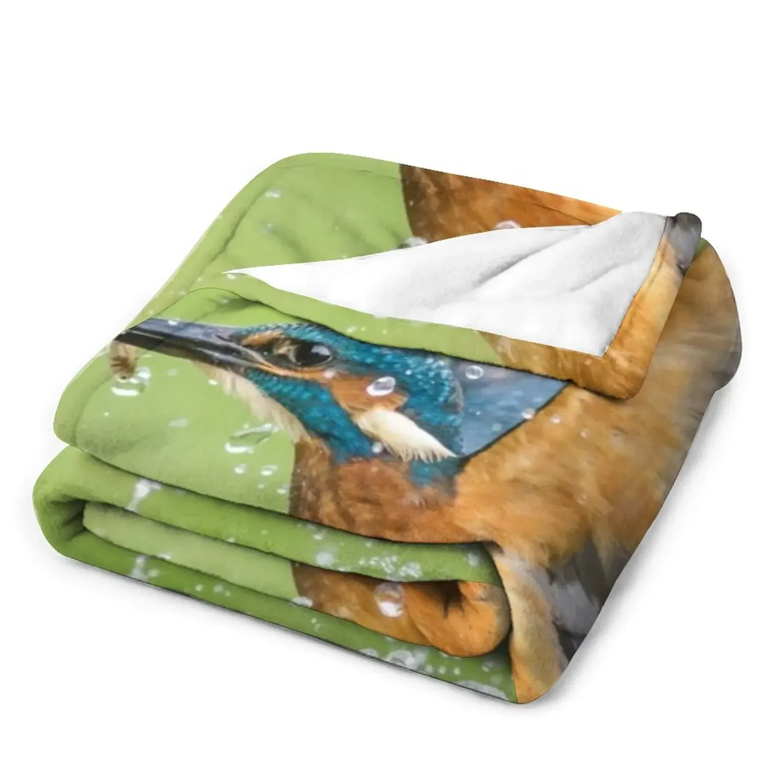 Kingfisher ������ ������ ���, ķ�� ���� ������ ���