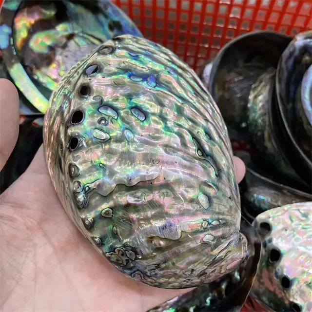 Kiváló Minőségű Kagyló, Mint Karácsonyi Díszek Ajándéka A Gyerekeknek Vagy Az Otthoni Szoba Reiki Dekoráció 1Db