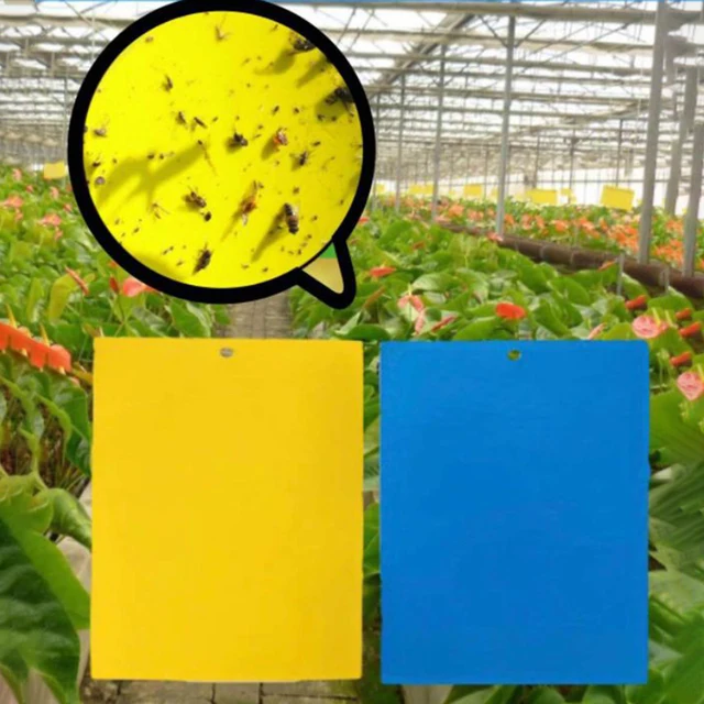 10 Cm X 20 Ragadós Rovarlemez Erős Rovarcsapda Kétoldalas Sárga Kerti Gyümölcsös Üvegházhatású Mezőgazdasági Rovarok Táblája - Image 6