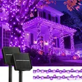 Purple Light