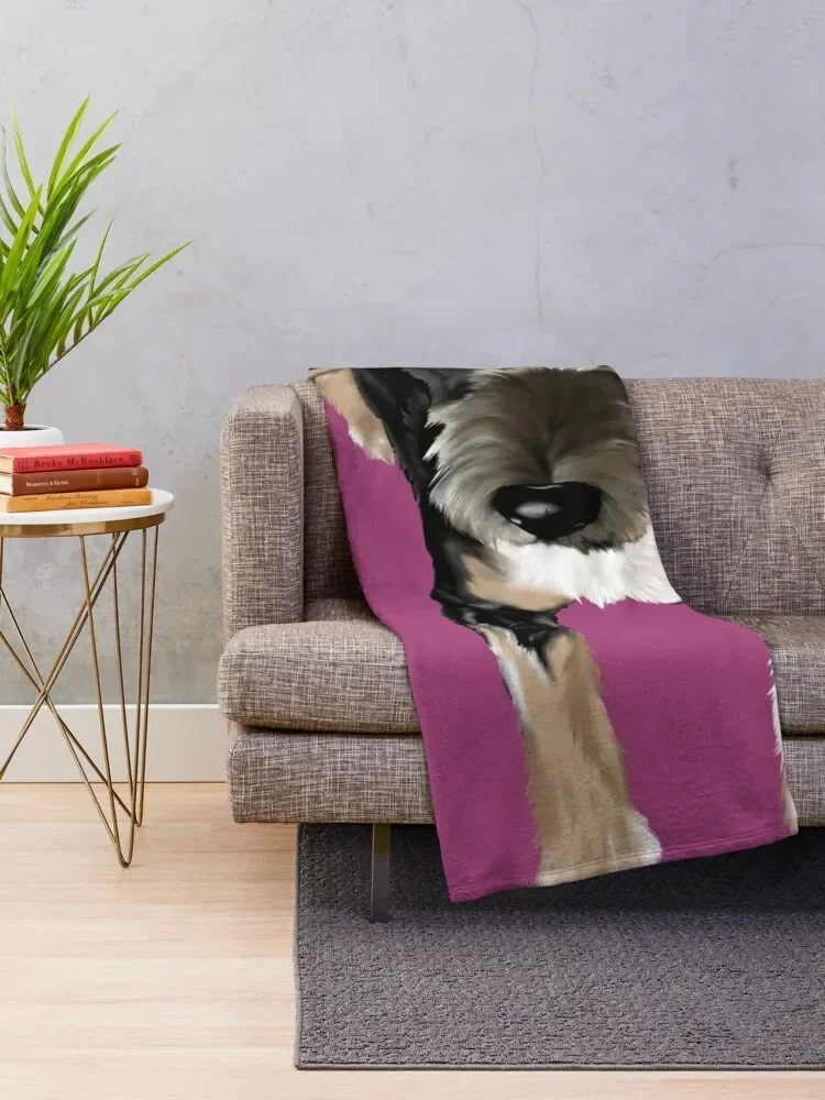 ���� ������ ���, ǫ���� ����, �� ���� ���