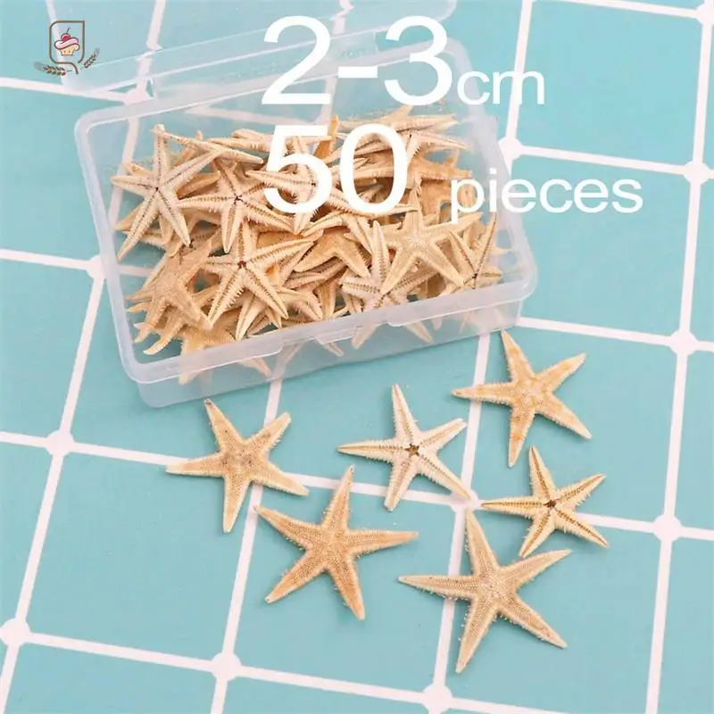 1Box/1pc Round Square Natural Starfish Seashell Beach Craft DIY Beach Wedding Decoration Crafts Home Decor