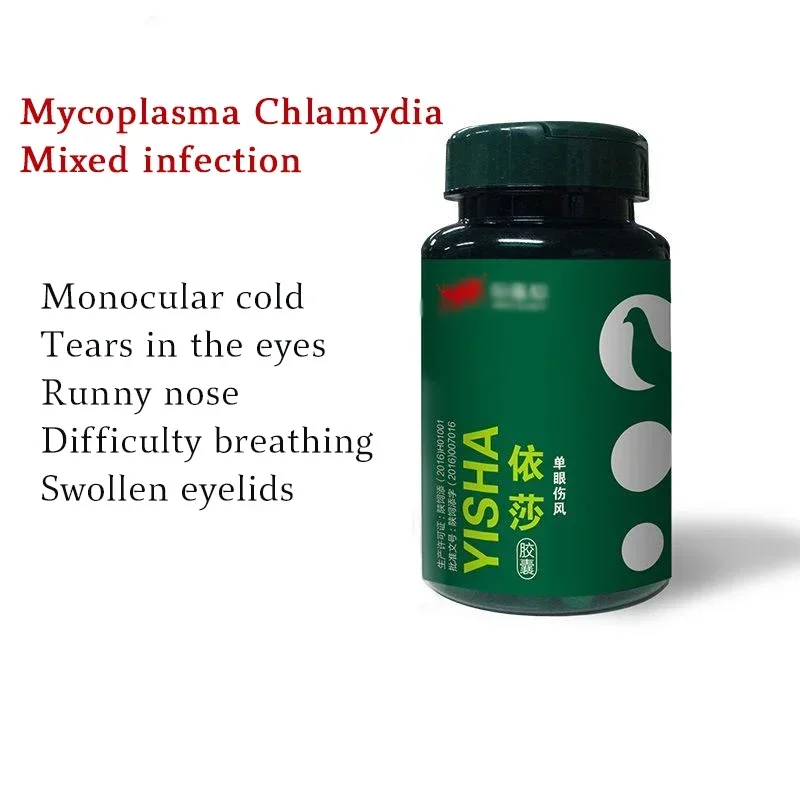 Pigeon single eye cold eyes tearing mucus running eyes red and swollen pigeon chlamydia 60 capsules