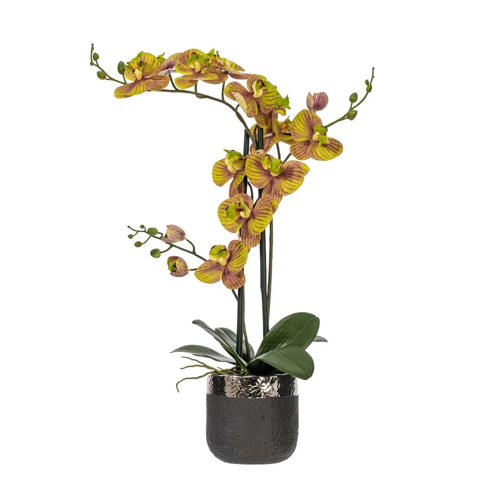 

Artificial Potted Real Touch Green Phalaenopsis Spray Artificial Decorative Plant Free Shipping Flowers Home Decoration Plants