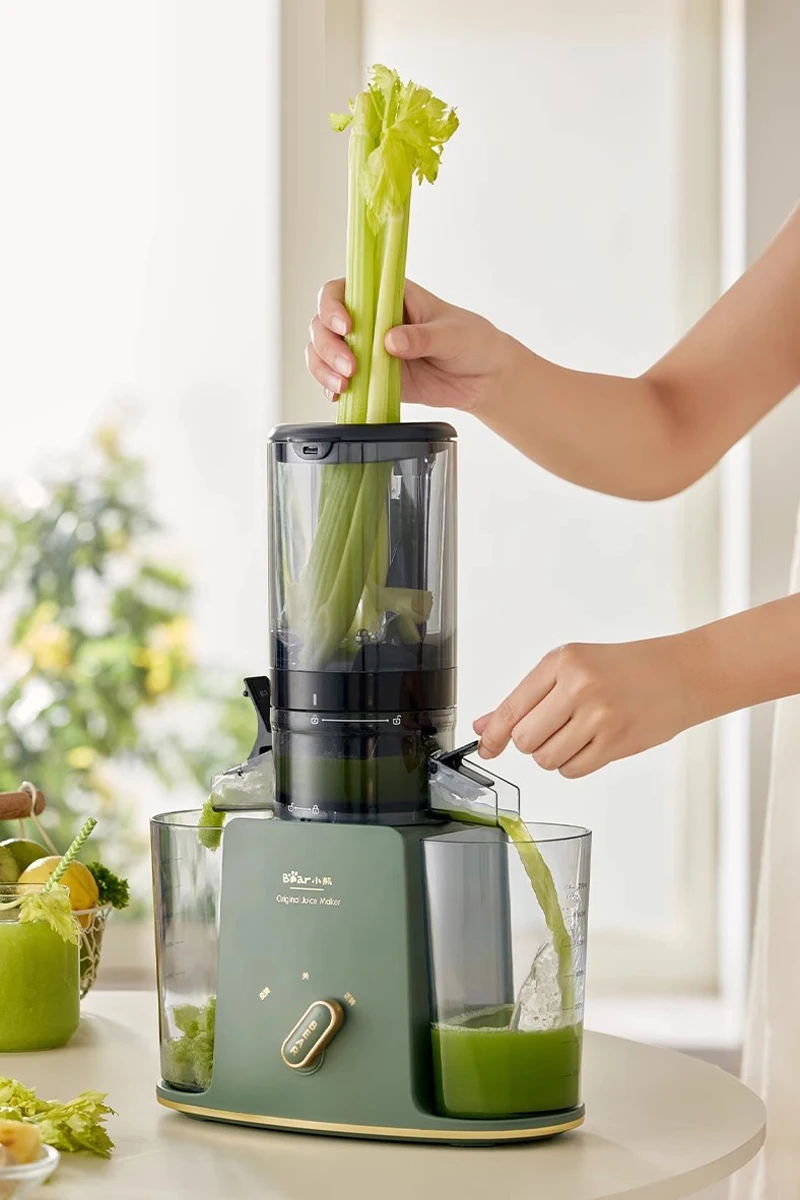 220V Slow Juicer Cold Press Electric Juice Extractor Lemon Fruit Juice Maker Blender Easy Clean Can Make Ice Cream Crushed Ice
