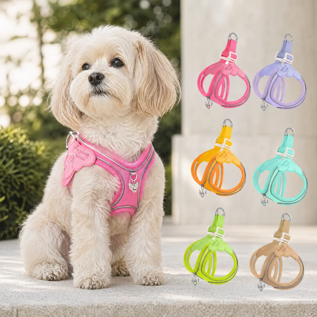 Peitoral para cães com asas de anjo macio e respirável pequenos_voghion.com