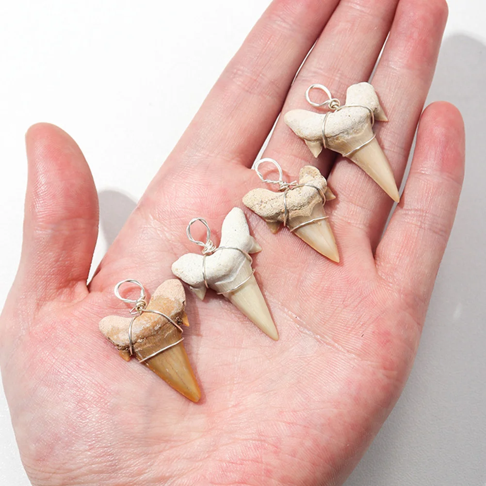 2pcs Shark Tooth Charm Necklaces Making Charms Decorative Shark Teeth Pendants Teeth Decor Charm for Crafts Necklace Making