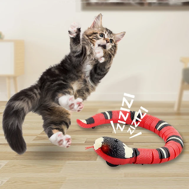 Smart Sensing Interactive Cat Toys Snake Eletrônico Automático, Teasering  Play, USB Recarregável, Kitten Toys for Cats and Dogs - AliExpress