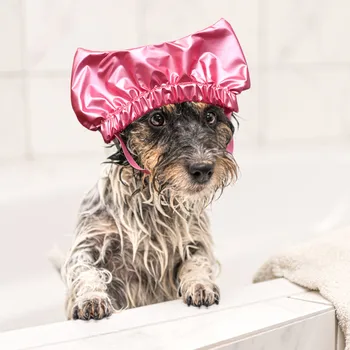 Taking Dog Shower With Adjustable Pet Cap For Ears- Shower Shower Cats Cap Pet Bath Strap Dogs Cap New Year Outfit For Dogs 3