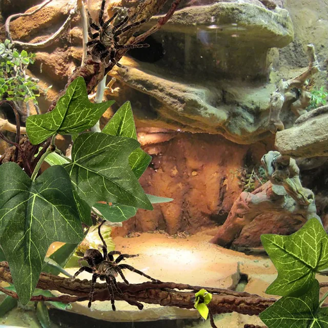 Hüllómászó Szőlő 2Pcs Terrárium Növényi Dekoráció Szívópohár Műanyagok Ágakkal Pet Tank Élőhely Dekorációja - Image 3