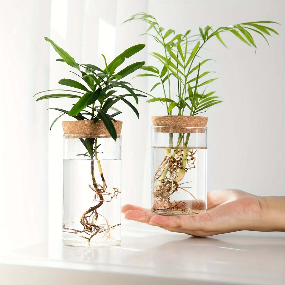 Description Picture 3 of itemMini Glass Vase Hydroponics Plants Desktop for Home Decoration Plant Propagation Station Bud Vase Desktop Hydroponics