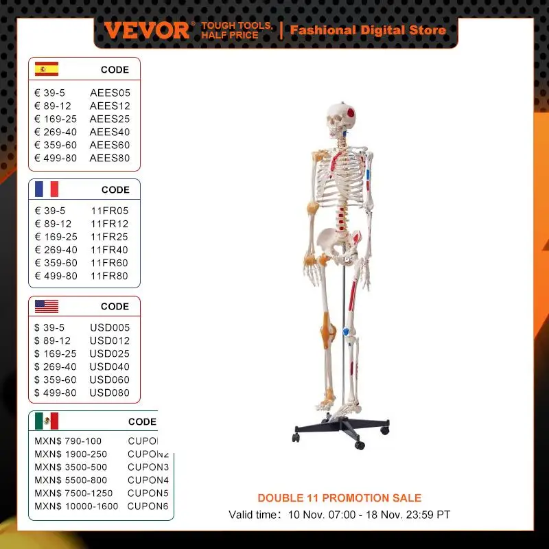 VEVOR Human Skeleton Model for Anatomy 71.65" Life Size PVC Anatomy Skeleton Model with Movable Arms Legs & Jaw for Teaching