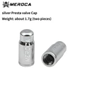 FV Silver