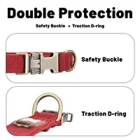 DC001-dog collars and pet neckbands, suitable for small, medium, and large dogs, perfect for outdoor use, anti-lost. 5