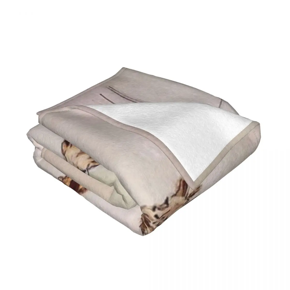 ���� ��� ħ�뺸, �׸� �β��� �⸰