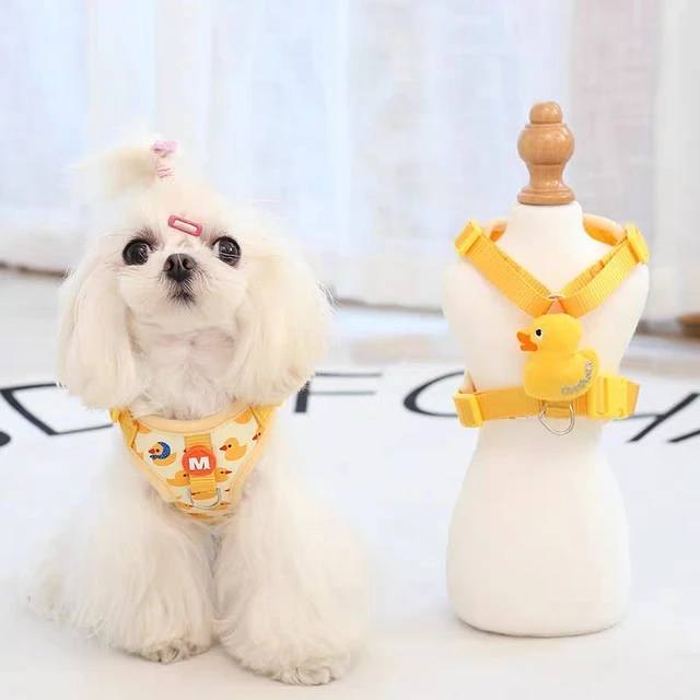 Cartoon Duck Dog Harness and Leash Set Adjustable Puppy Collar Strap Pet Cat Harness Vest for French Bulldog Walking Accessories 4