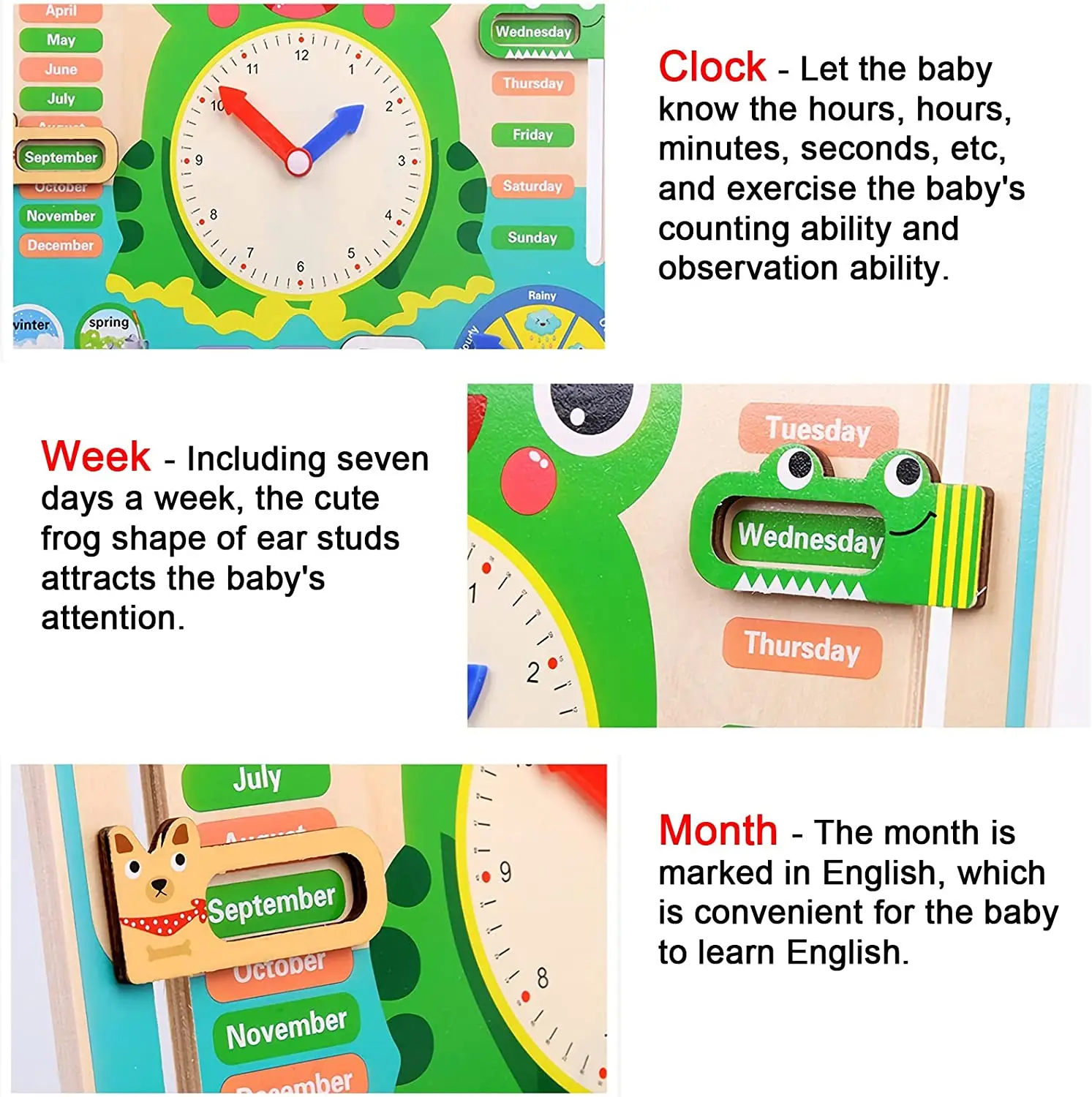 Montessori Wooden Frog Clock Toys For Kids,Learning Calendar,Weather,Season,Time,Week,Early Educational Toy for Boys And Girls 2