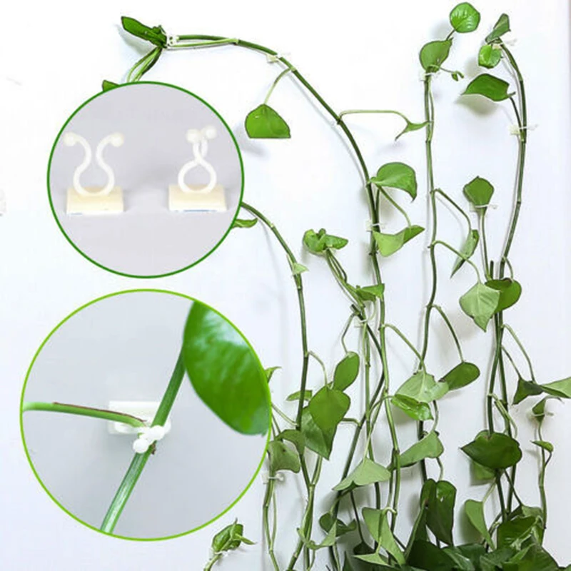 Tuteur - Lien - Attache,Clips De Fixation Murale Auto-adhésifs Pour