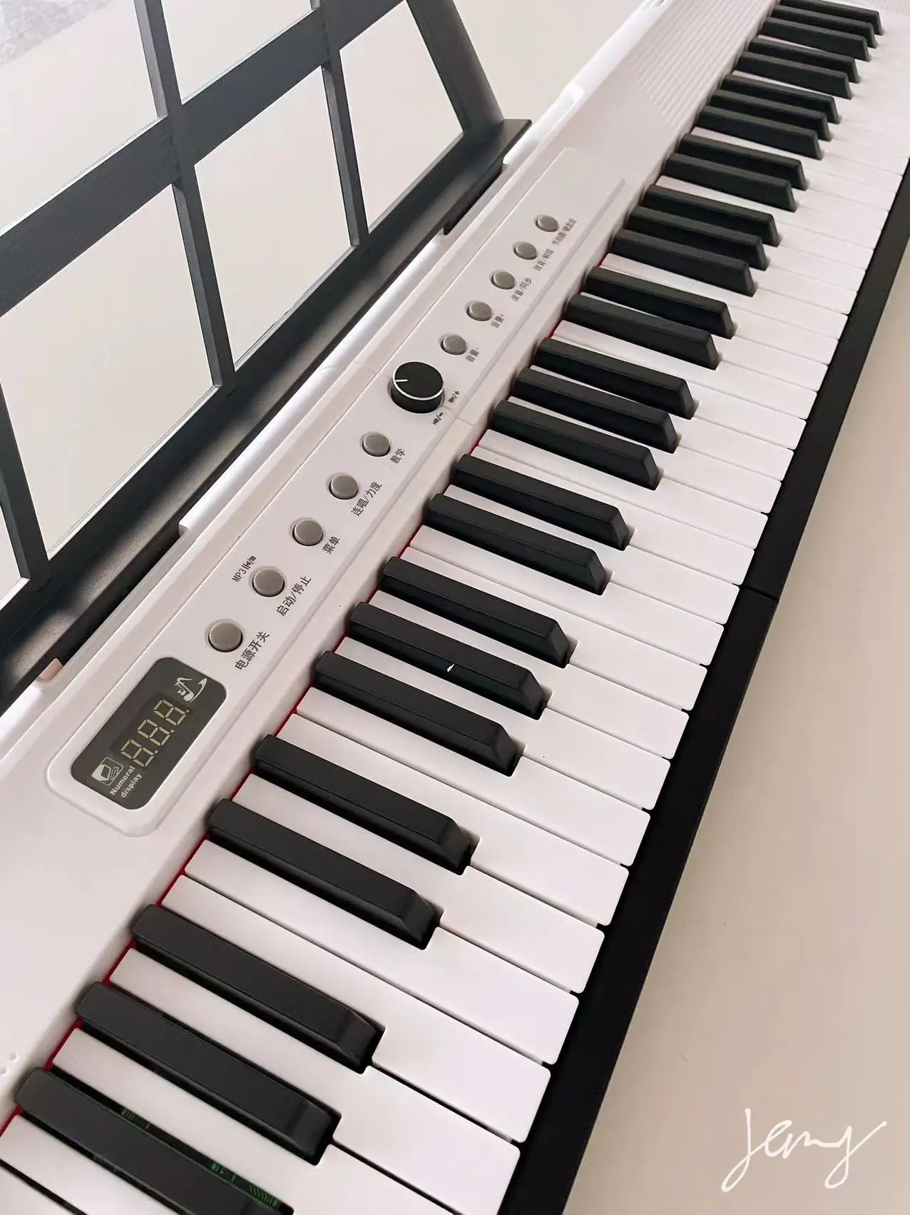 88 Keys Dual Keyboard Digital Electronic Organ Light Learning and Practice Instrument with Bluetooth Feature