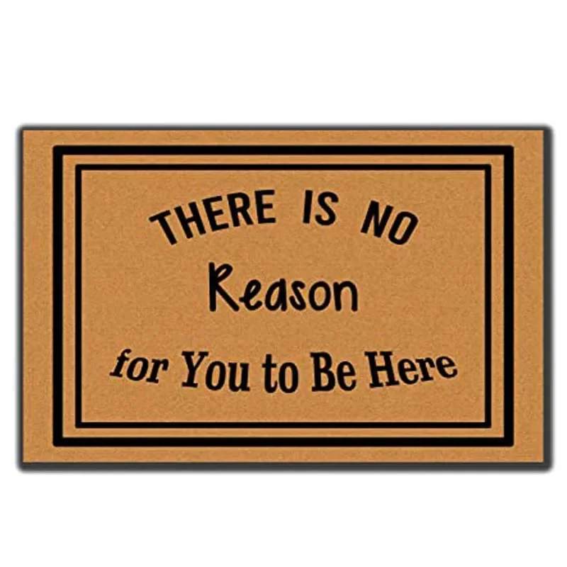 

There is No Reason for You to Be Here Entrance Non-Slip Indoor Flannel Door Mats for Front
