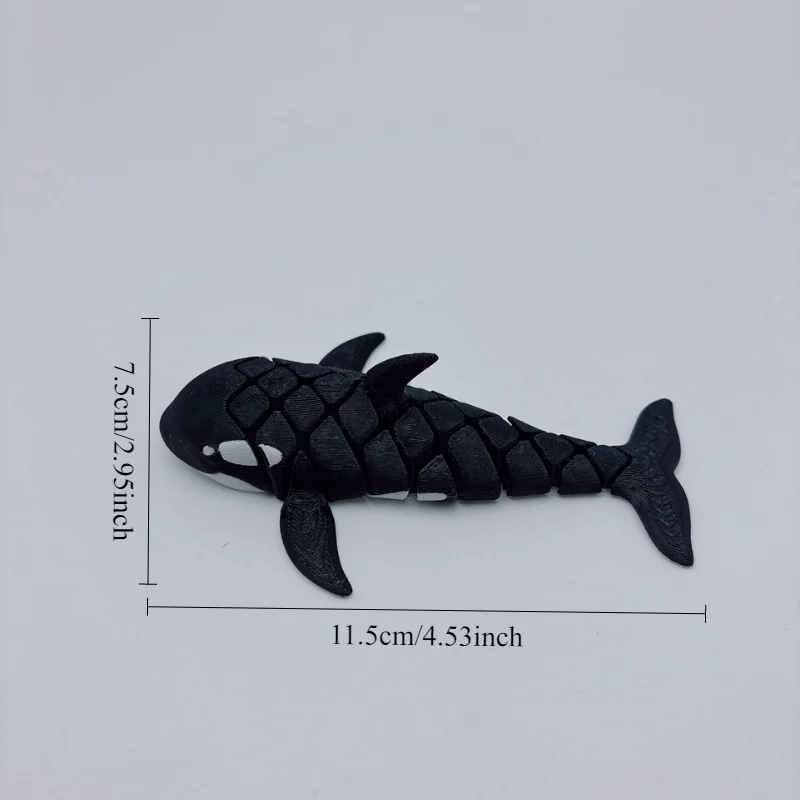 Orca Marina Snodabile 3D - Modello 10 Orca Marina Snodabile 3D - Modello - immagine 6