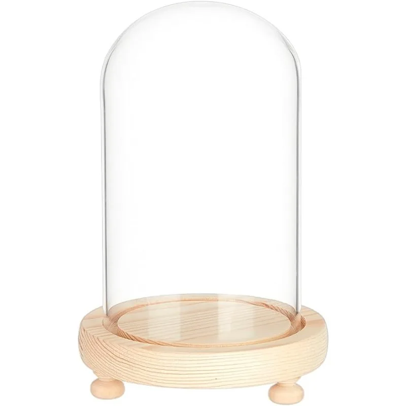 Glass Dome with Base Glass Cloche Bell Jar 1pcs Display Plants Rose Flower Display Clay Succulents Storage Home Christmas Party