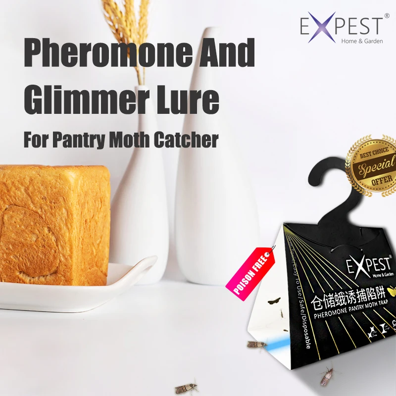 Expest 2pcs Pantry Moth Trap Containers Kitchen Food Sticky Glue Pheromone  Killer - AliExpress