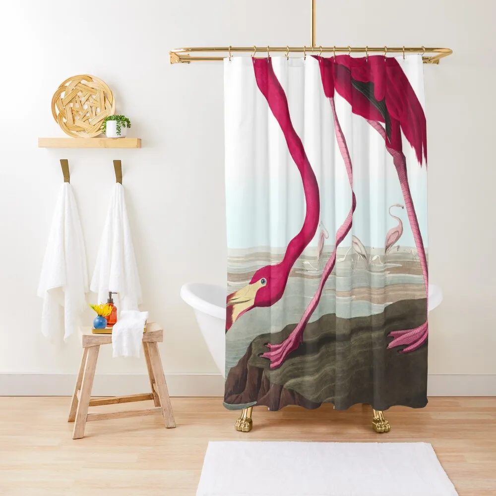 

American Flamingo - John James Audubon Shower Curtain Transparent Bathroom Shower Cover Bathroom Accessorys Curtain