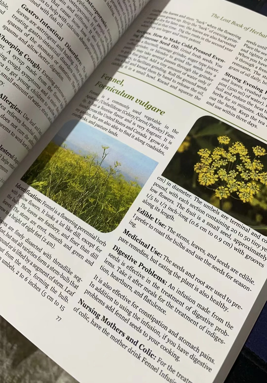 El libro perdido de remedios herbales, el poder curativo de la medicina vegetal, Paperback-Contiene imágenes de colores