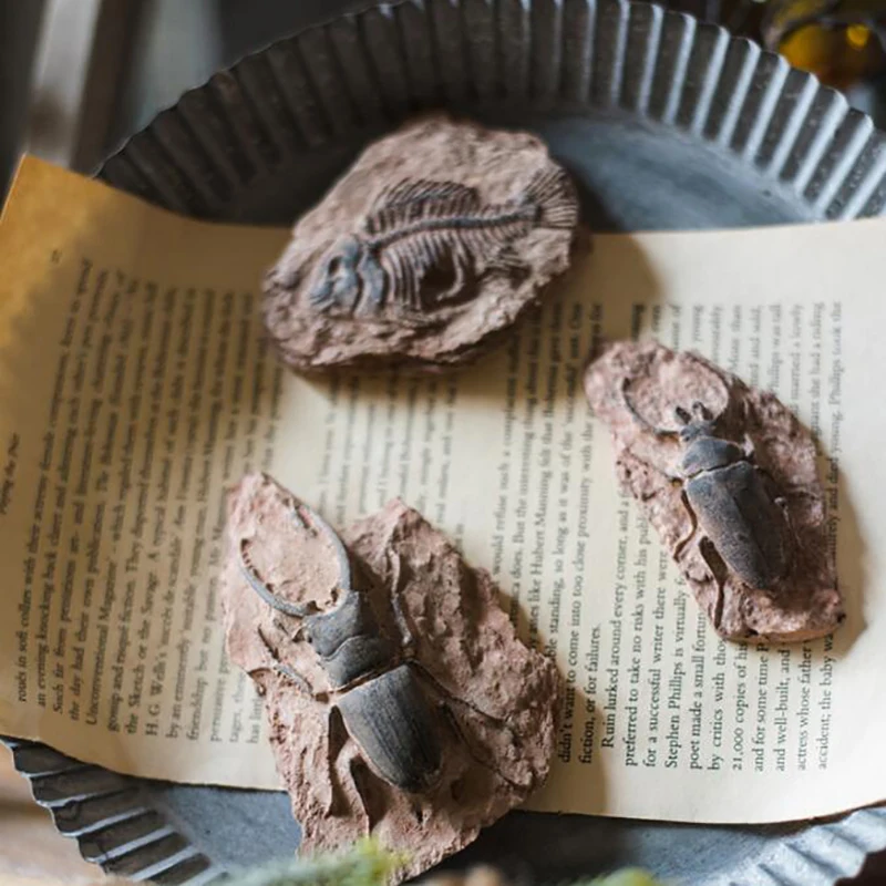 1PC Child Toy Simulated Resin Fossil Ornament Crawling Terrarium Decors Decorative Container Landscape Reptile 5