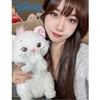 Hot 30-45cm Disney Marie Cat Plush Dolls The Aristocats Cartoon Sleepy Face Bow Plushies Doll Soft Stuffed Animals Pet Toys Girl 1