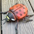 Ladybug
