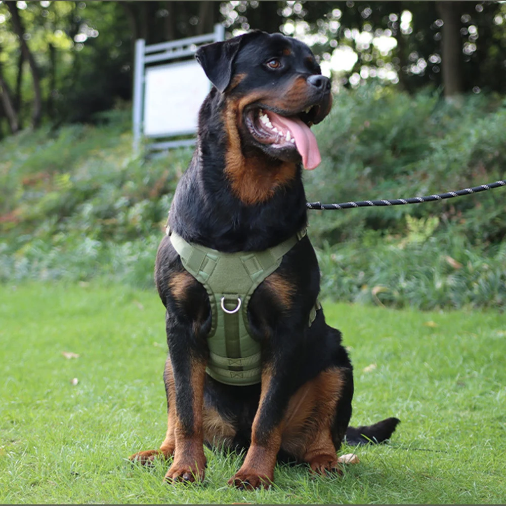 Rottweiler Big Dogs Tactical Harness - bestproductone