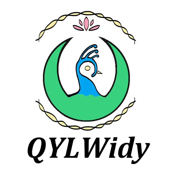 QYLWidy Fashion Shoes Store