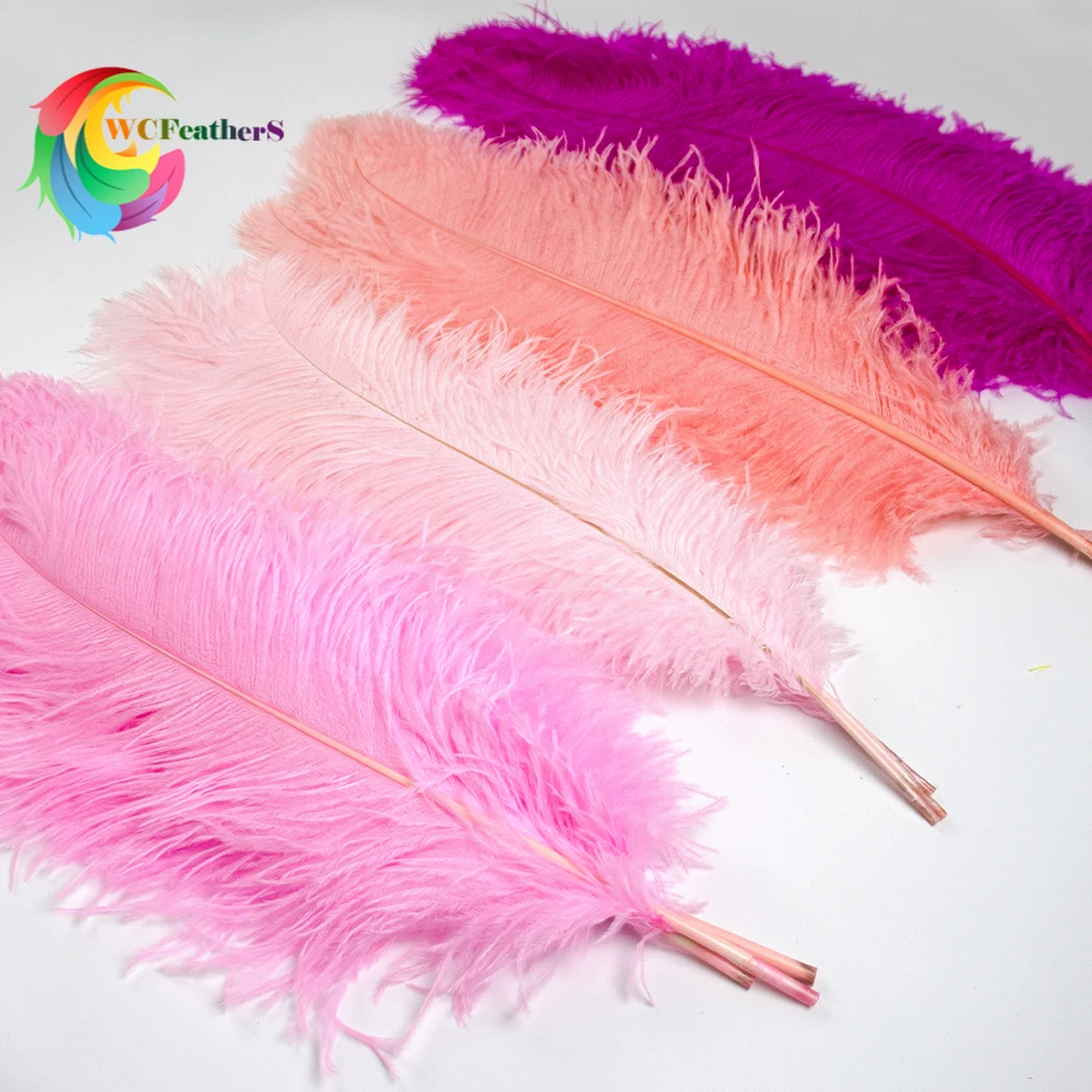 Real Ostrich Feather Pink for Crafts Wedding Party Decor Plumes Ostrich Table Centerpieces Colored Feathers Decoration 10Pcs/Lot ostrich feathers,mixed color feathers,craft feathers,natural feathers