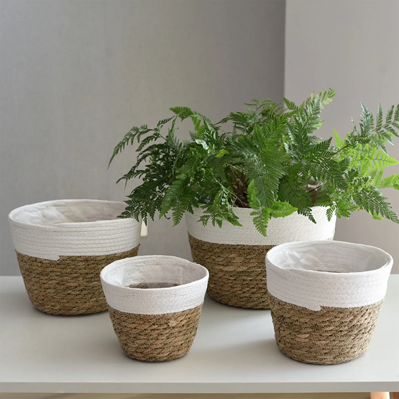 Large Straw Flowerpots Flower Baskets Potted Plants Plants Seaweed