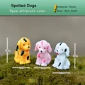 Spotted Dogs