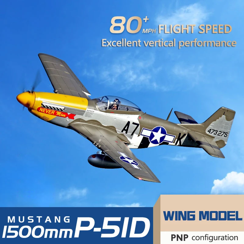 Fms p51 2024